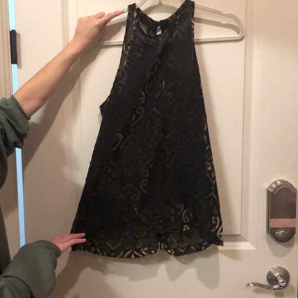 BB Dakota Tops - BB Dakota Sheer velvet Top